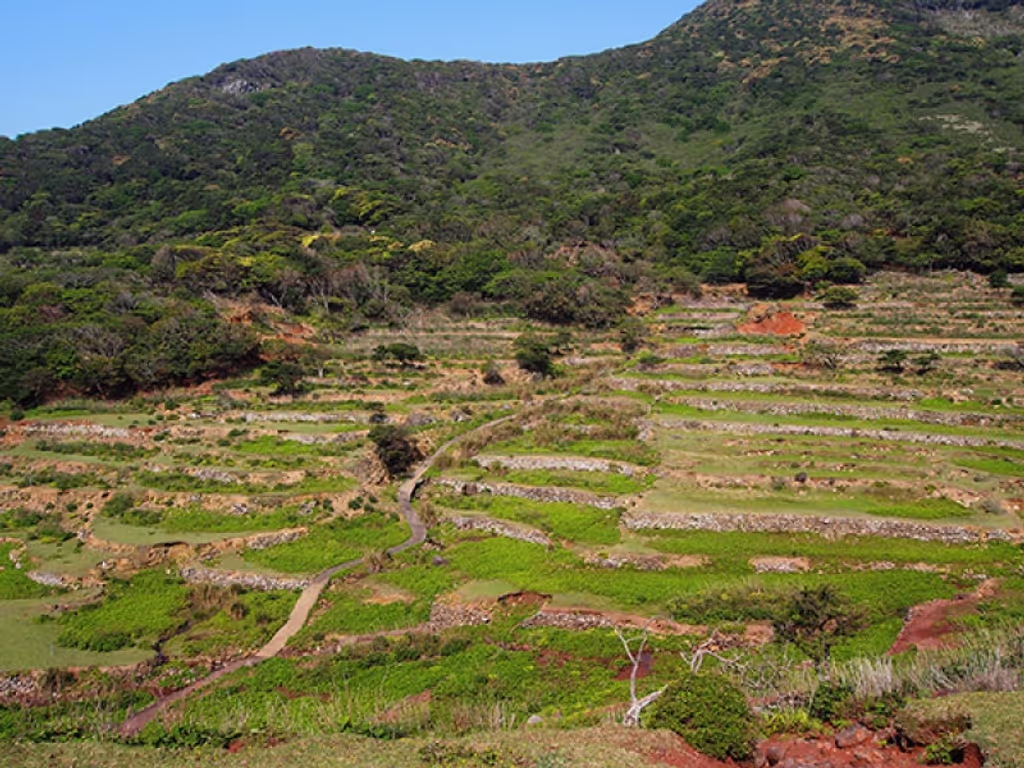 Nagasaki Private Tour - NOZAKI community ruin (world heritage)