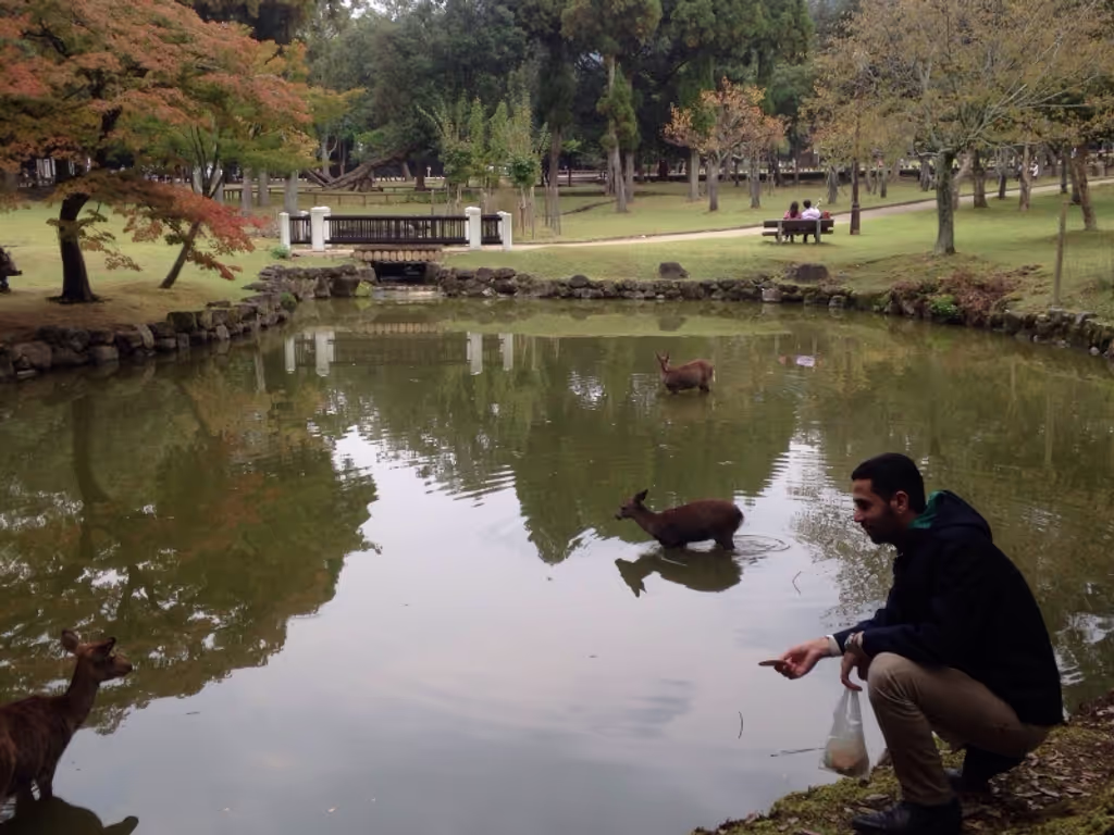 Kyoto Private Tour - Nara deers park