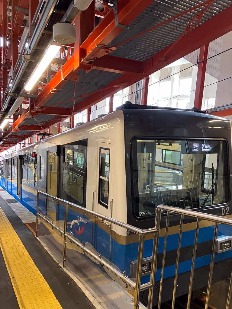 Hakone Private Tour - Cable car to climbing up by 200m high(500m in altitude)
