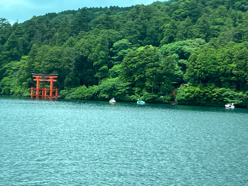 Hakone Private Tour - scenery from cruise ship
