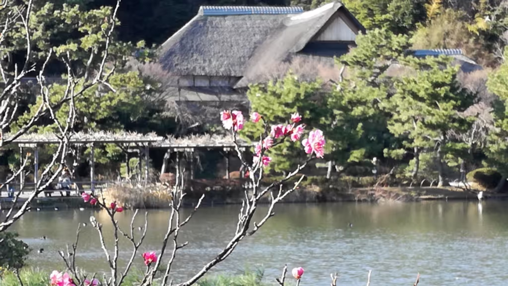 Yokohama Private Tour - Japanischer Garten Sankei-en Garten