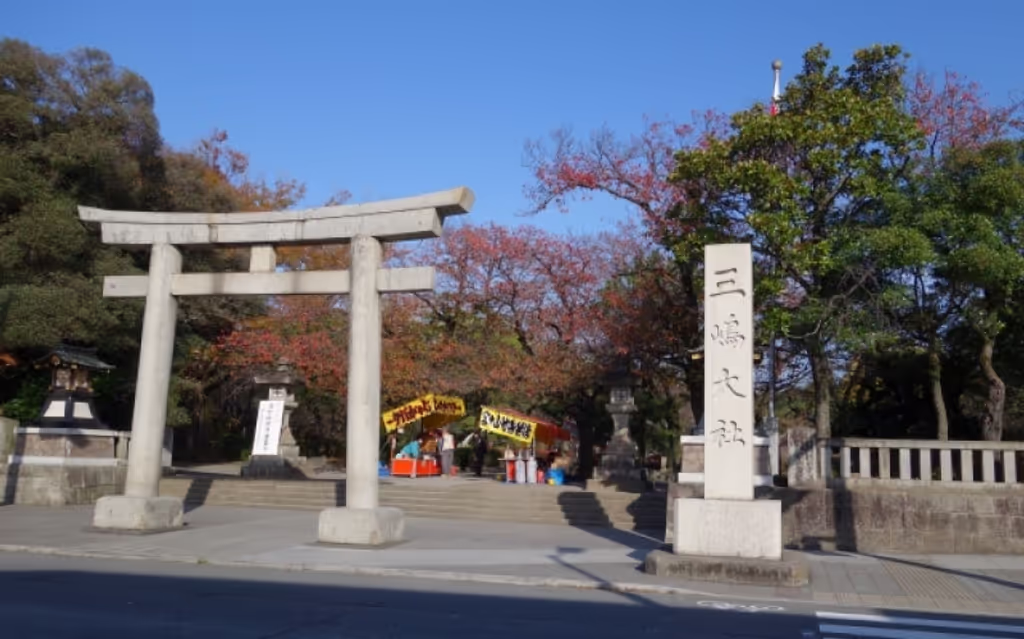 Shizuoka Private Tour - Gate of the Mishima Grand Shrine 