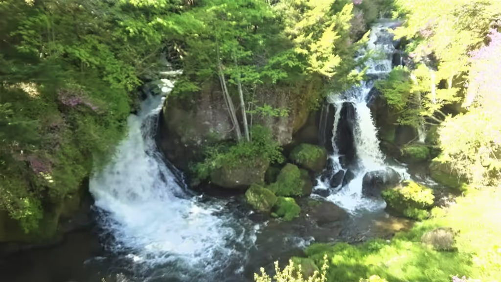 Tokyo Private Tour - Ryuzu (Dragon Head) Fall