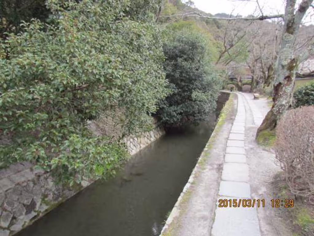 Kyoto Private Tour - Philosopher's path