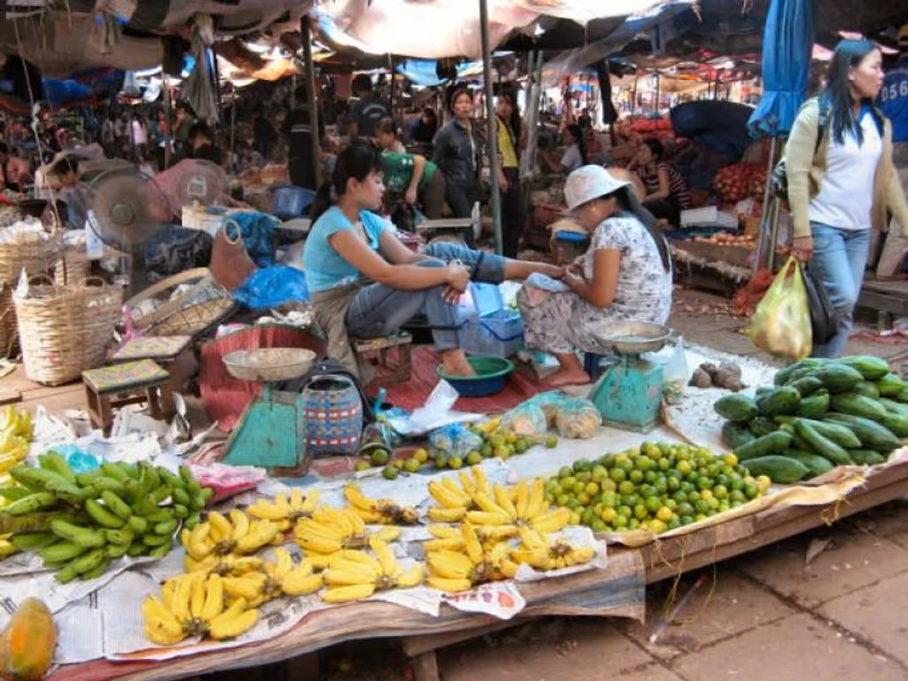 Vientiane Private Tour - Laos Talat Sao Vientiane