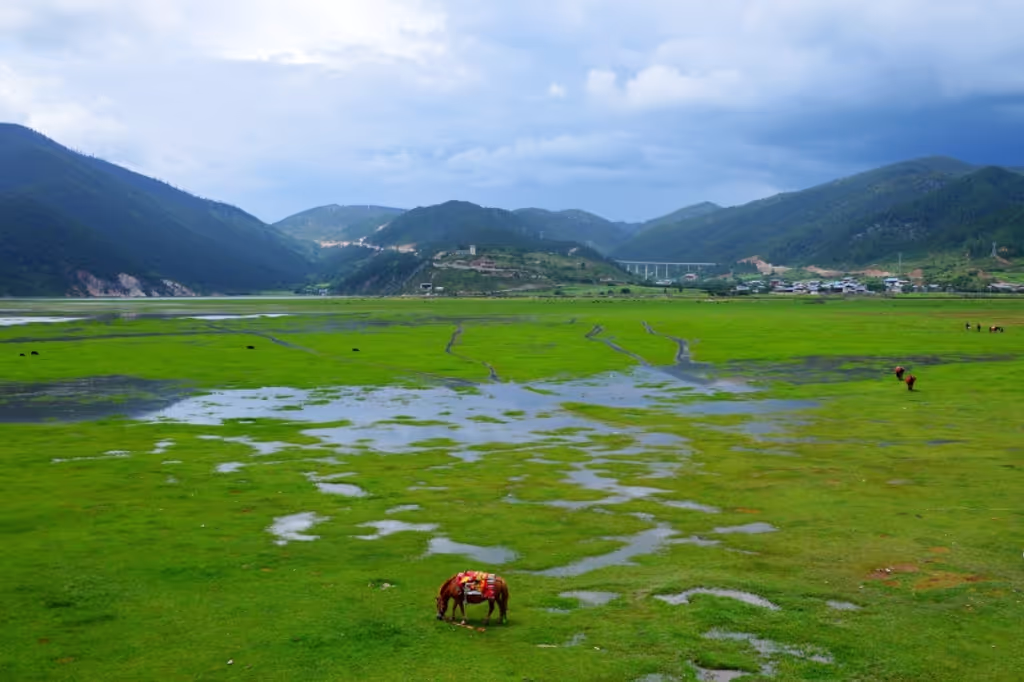 Lijiang Private Tour - Scenery on the road