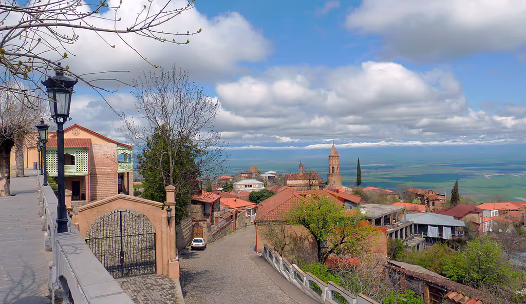Tbilisi Private Tour - Signagi