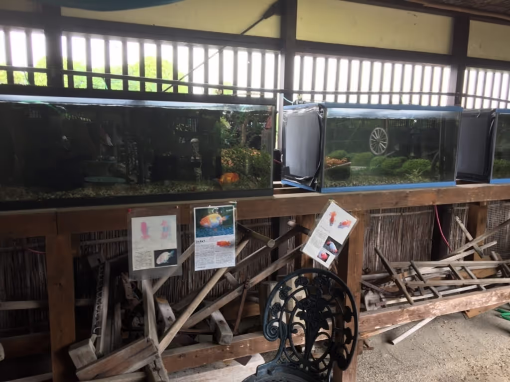 Nara Private Tour - null