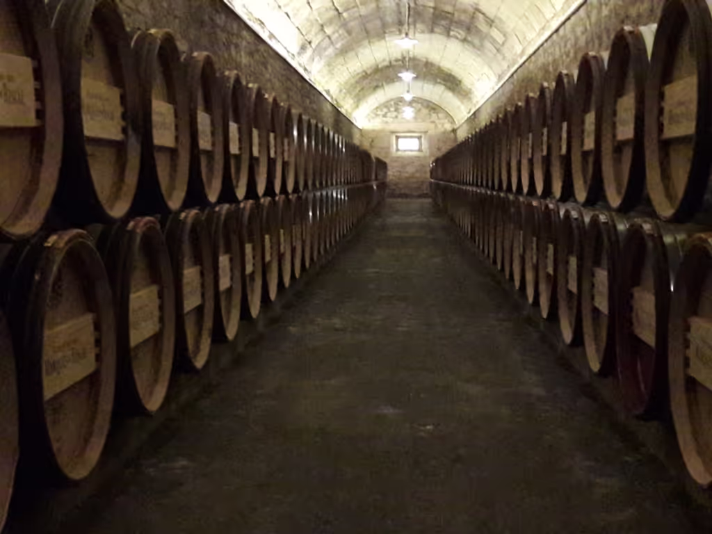 San Sebastian Private Tour - Rioja Top wines 