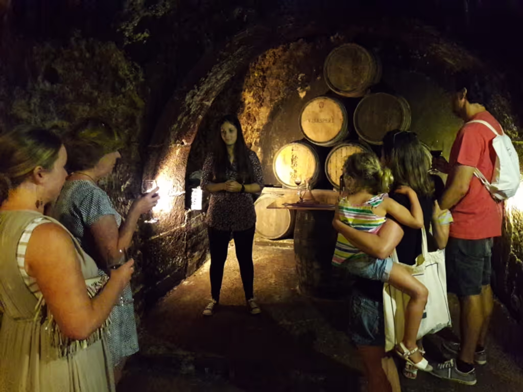 San Sebastian Private Tour - Rioja Top wines 