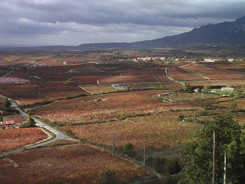 San Sebastian Private Tour - Rioja Top wines 