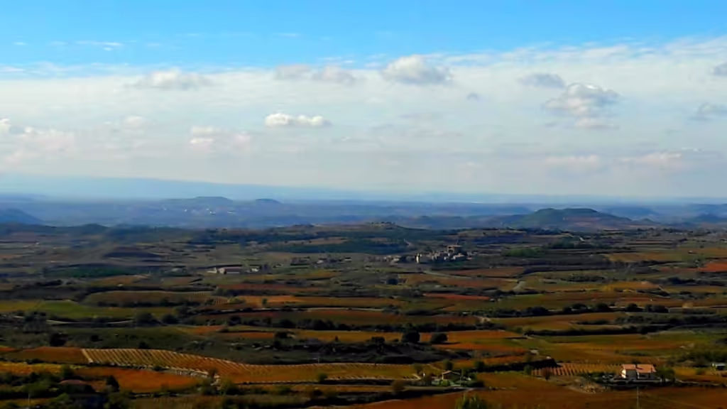 San Sebastian Private Tour - Rioja Top wines 