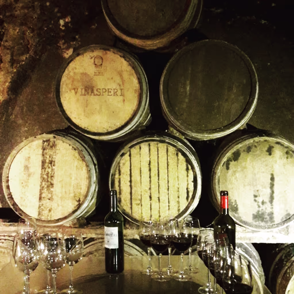 San Sebastian Private Tour - Rioja Top wines 
