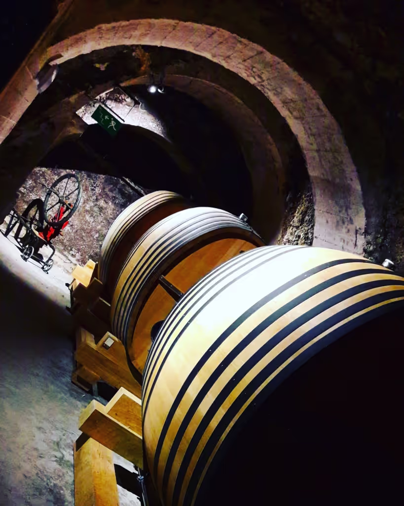 San Sebastian Private Tour - Rioja Top wines 