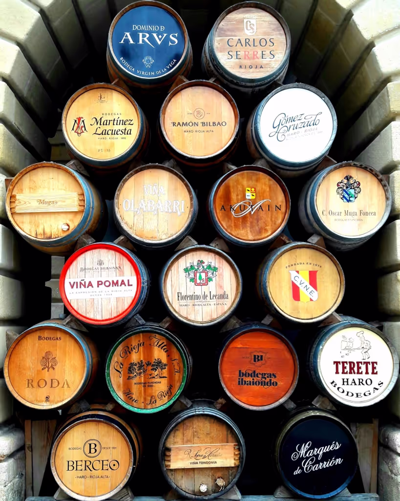 San Sebastian Private Tour - Rioja Top wines 