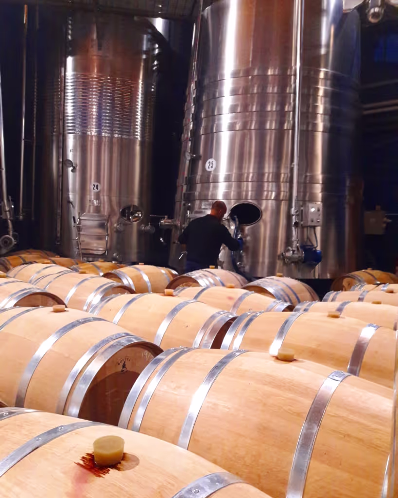 San Sebastian Private Tour - Rioja Top wines 