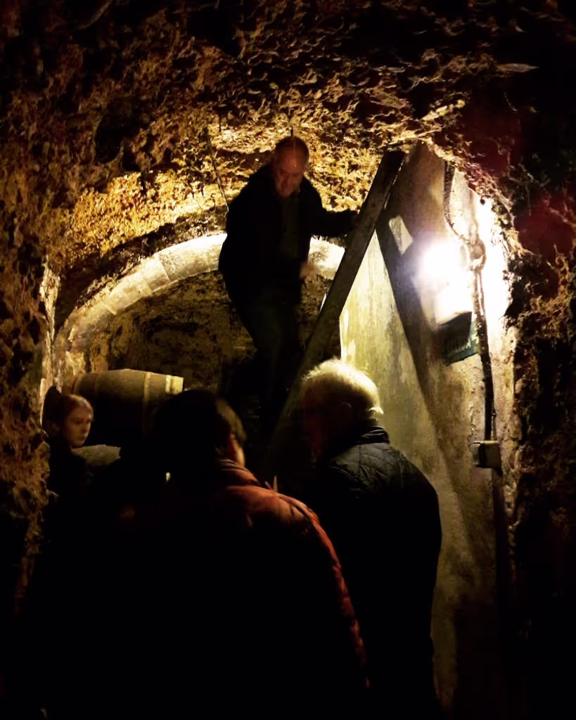 San Sebastian Private Tour - Rioja Top wines 