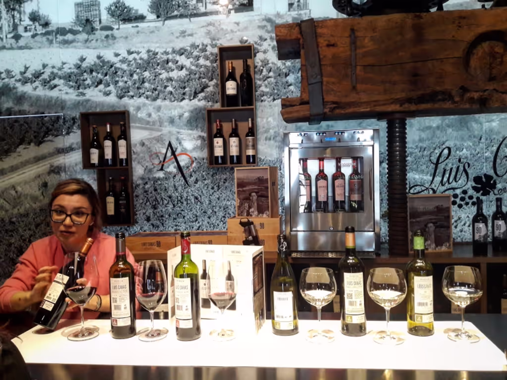 San Sebastian Private Tour - Rioja Top wines 