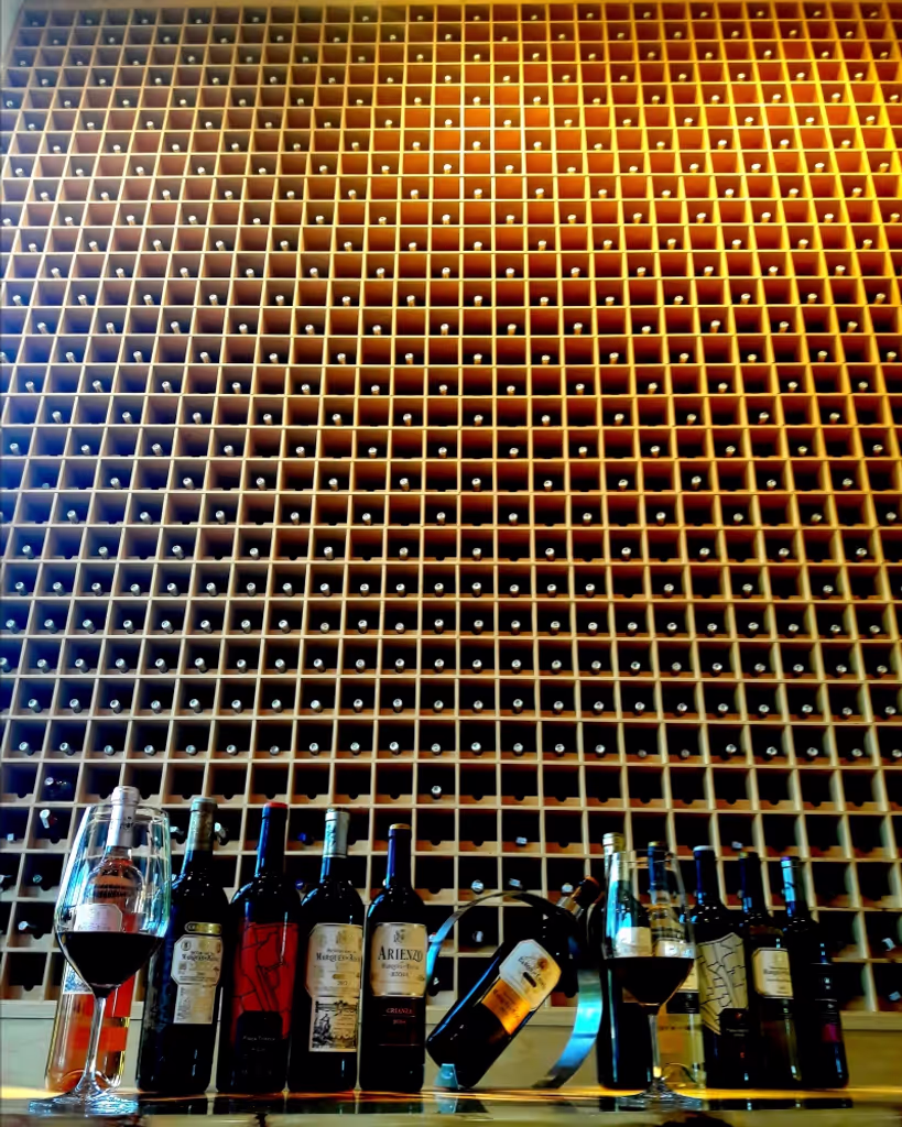 San Sebastian Private Tour - Rioja Top wines 