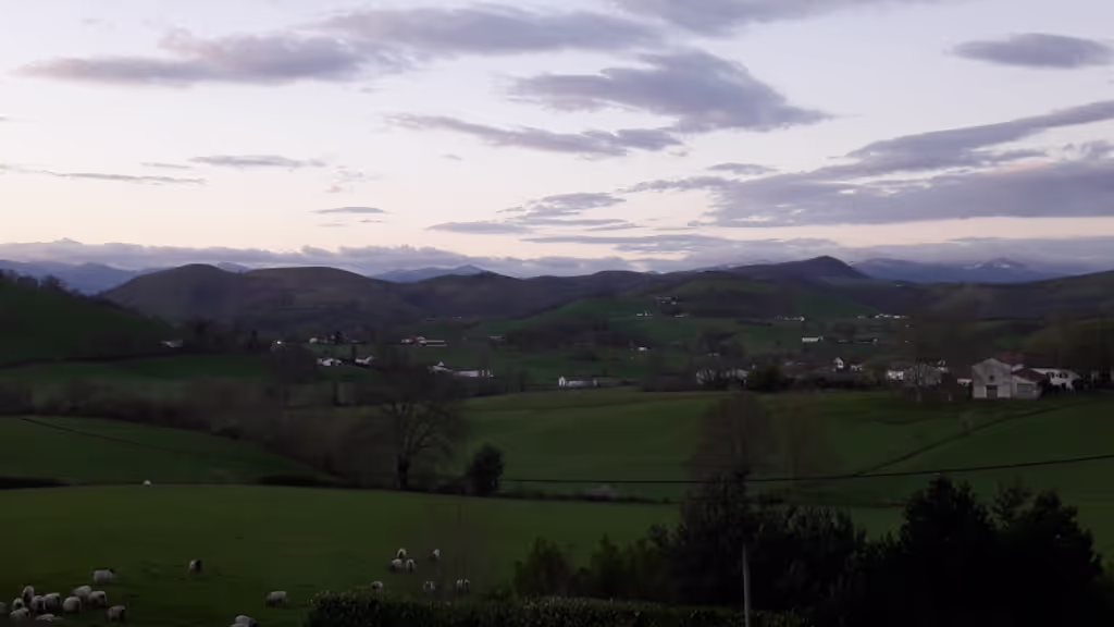 Pais Vasco Private Tour - null