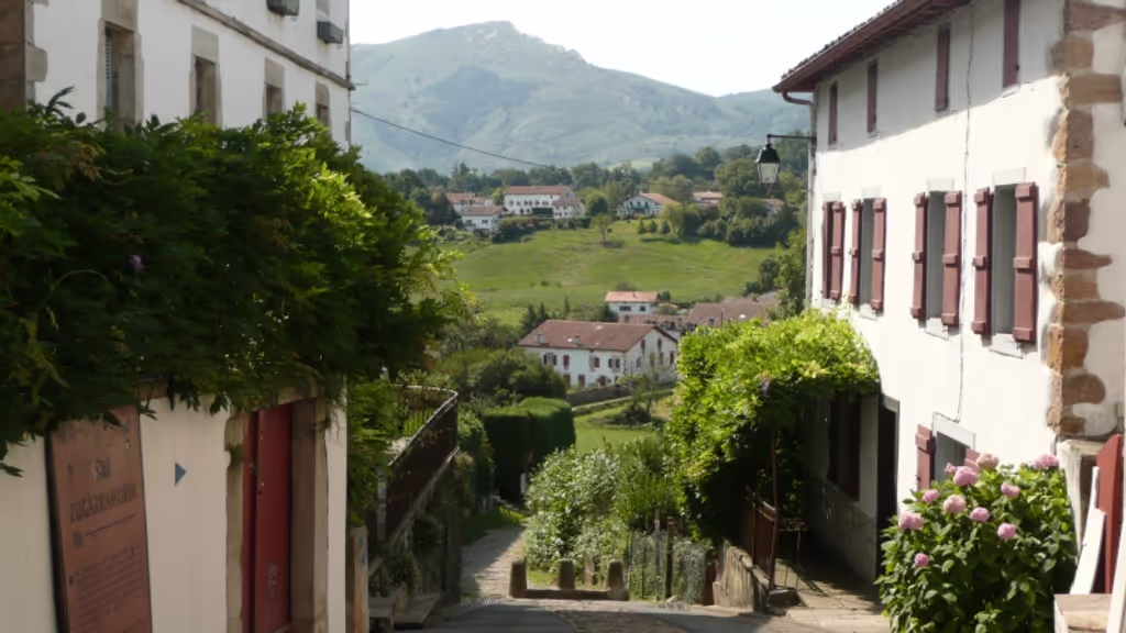 Pais Vasco Private Tour - null