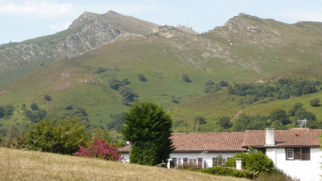 Pais Vasco Private Tour - null