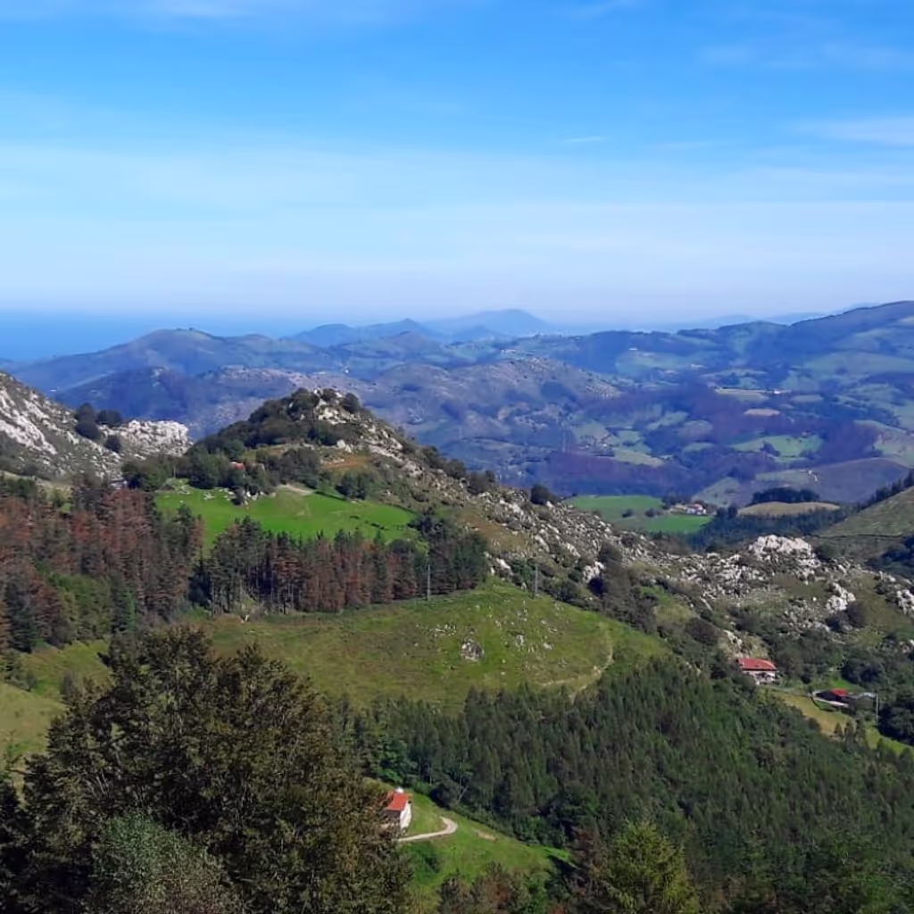 San Sebastian Private Tour - null