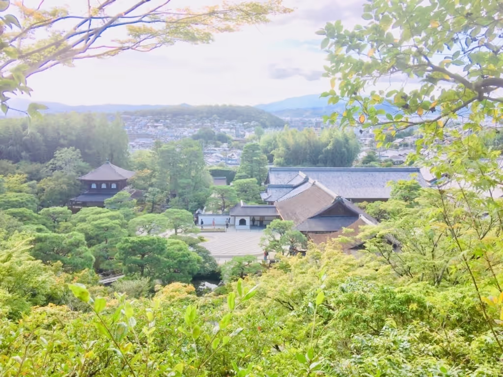 Kyoto Private Tour - null
