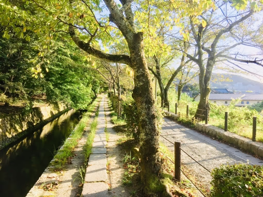 Kyoto Private Tour - null