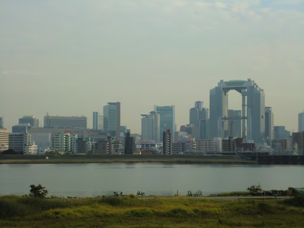 Osaka Private Tour - null