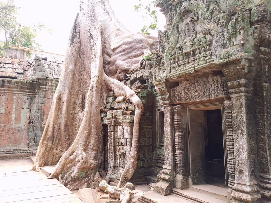Siem Reap Private Tour - Tomb Raider Temple