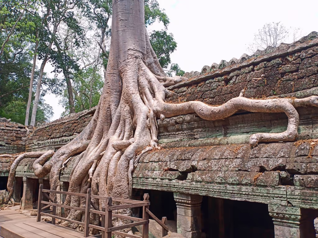 Siem Reap Private Tour - Tomb Raider Temple