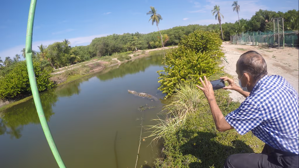Acapulco City Private Tour - Croc Farm visit