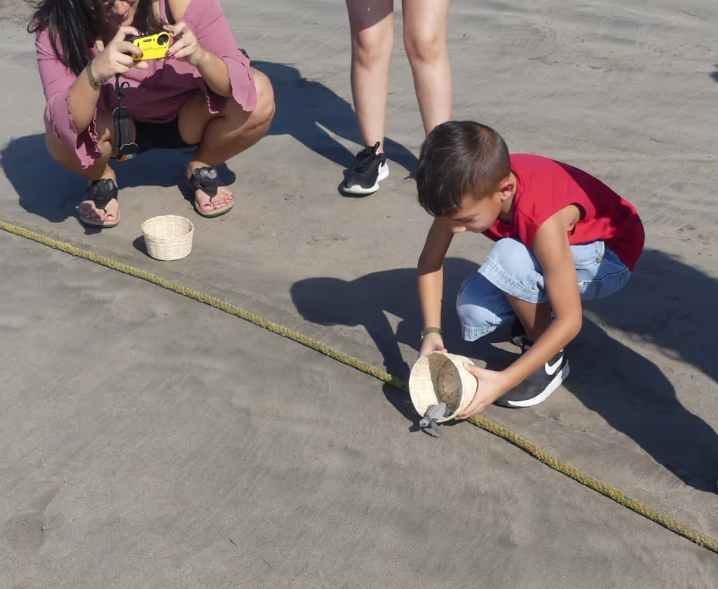 Acapulco City Private Tour - Baby Turtle Release
