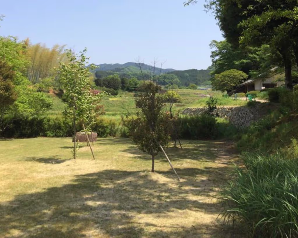 Nara Private Tour - null