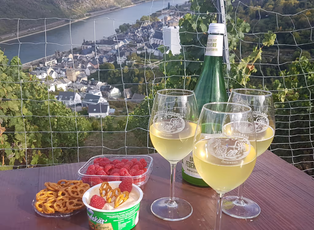 Rhine Valley Private Tour - Federweißer tasting in Oberwesel 
