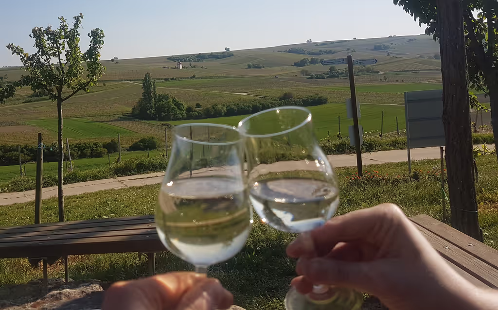Rhine Valley Private Tour - Cheers;-) 