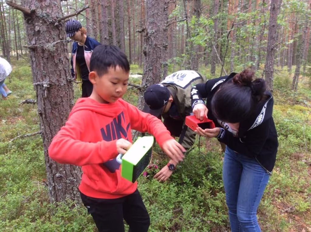 Helsinki Private Tour - A lot of wild berries in the forest
