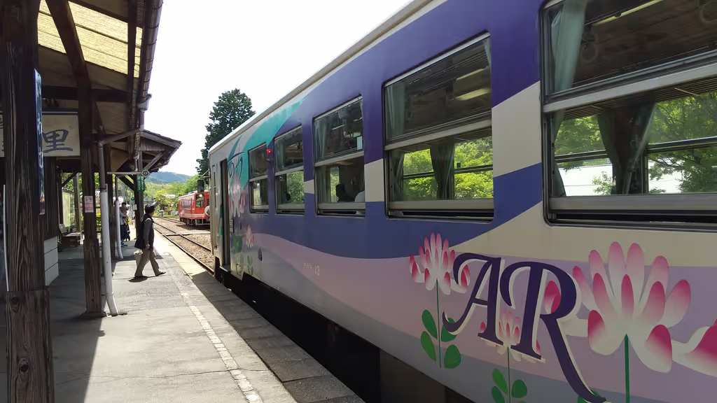 Gifu Private Tour - cute local train