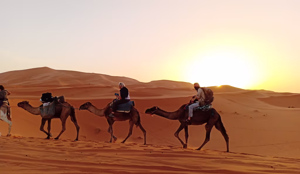Marrakech Private Tour - Camel Ride