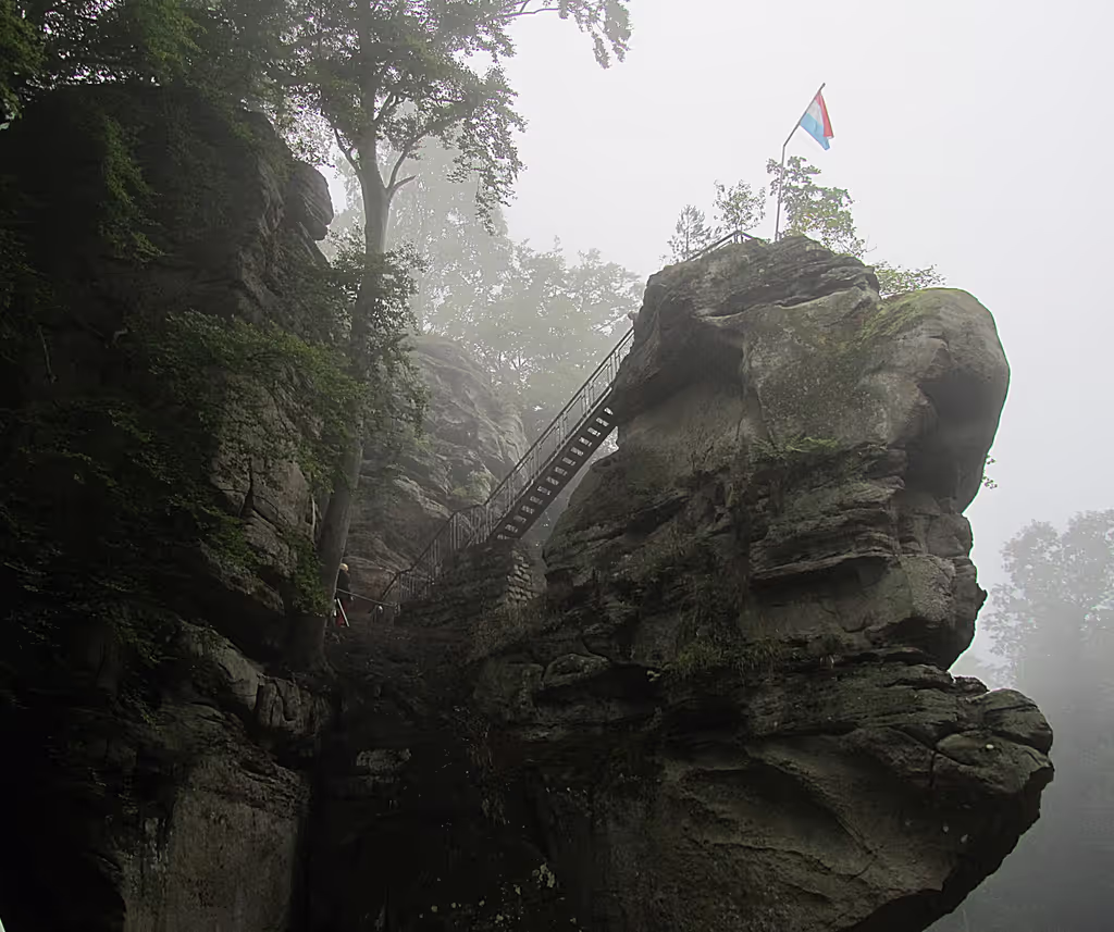 Trier Private Tour - Müllertal