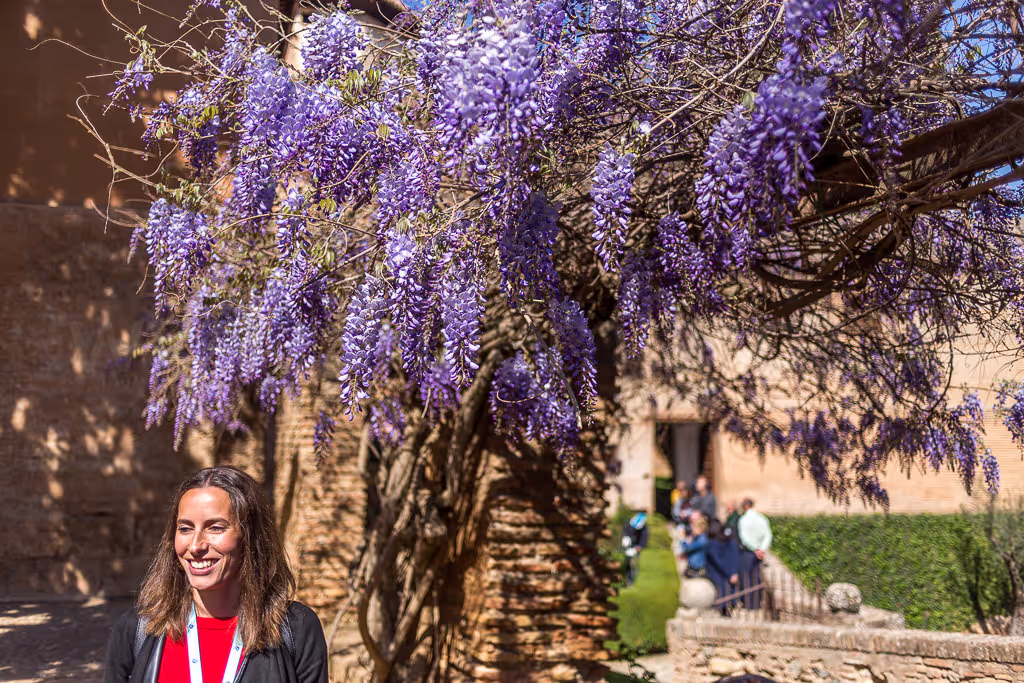 Granada Private Tour - Gardens of Partal