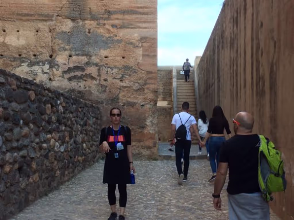Granada Private Tour - Alcazaba