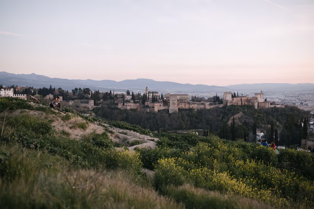 Granada Private Tour - Outside overview of Alhambra royal city