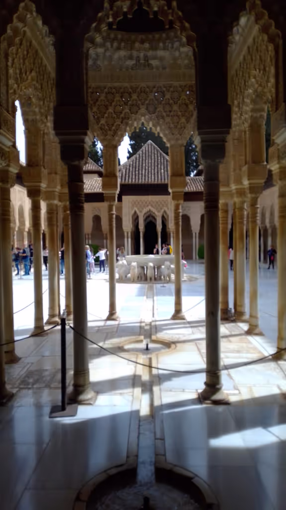 Granada Private Tour - Nasrid Palaces: Palace of the lions