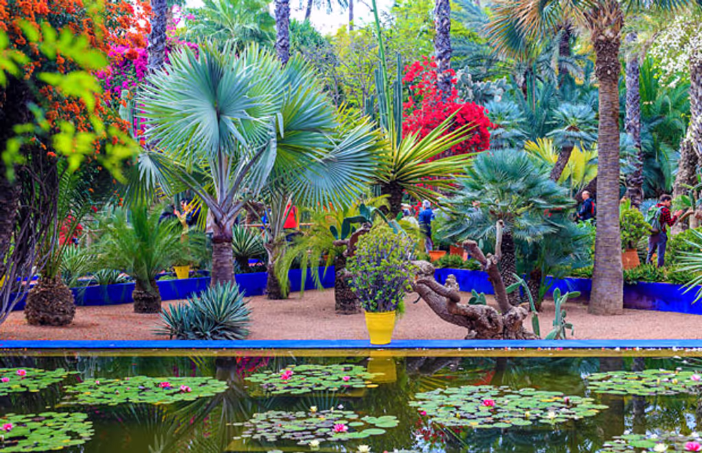 Marrakech Private Tour - Majorelle Garden