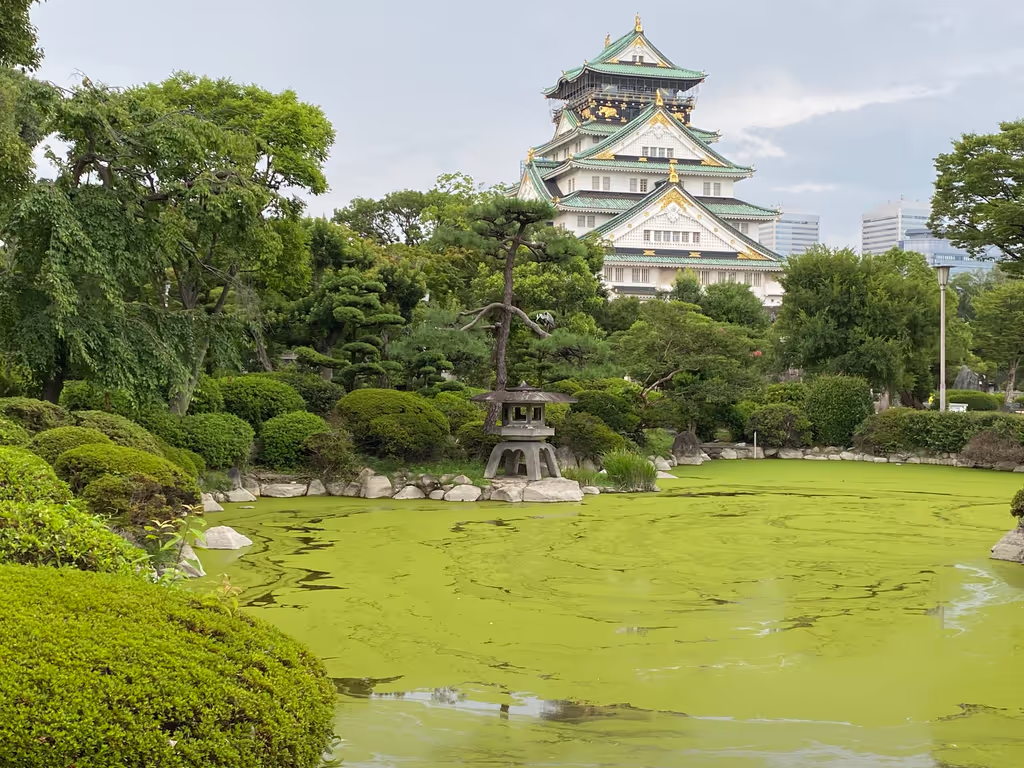 Osaka Private Tour - Osaka Castle