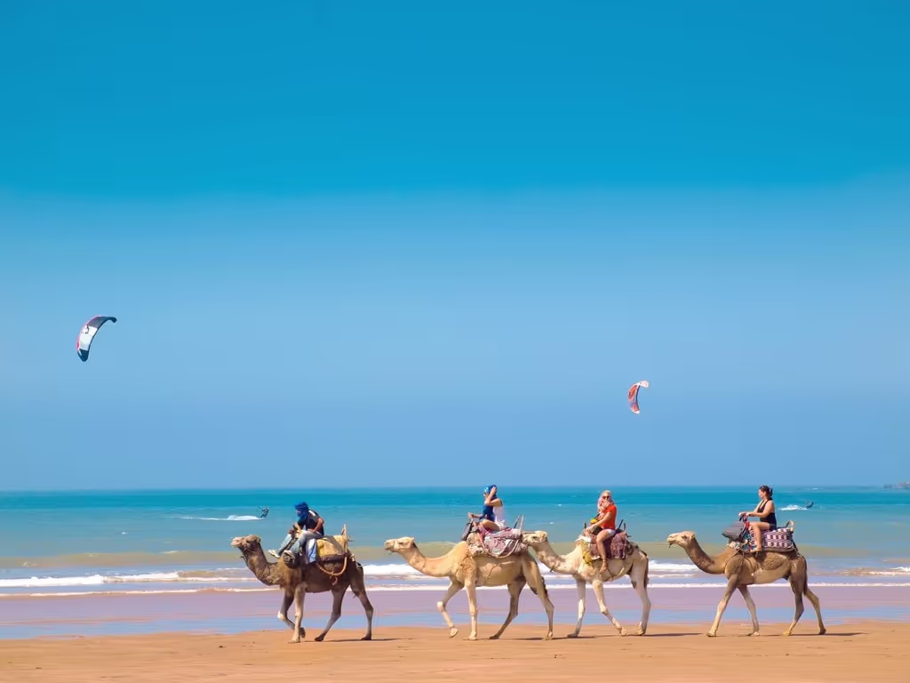 Marrakech Private Tour - 