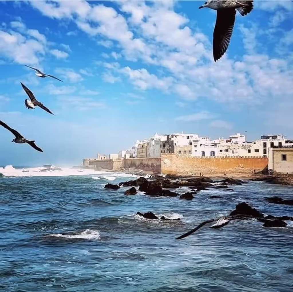 Marrakech Private Tour - 