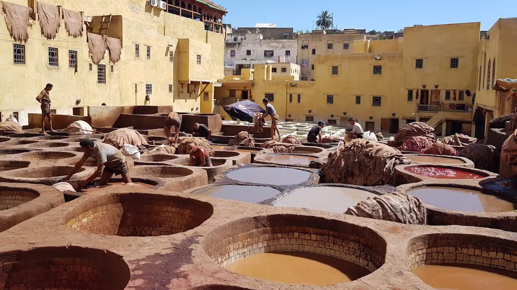 Fes Private Tour - null